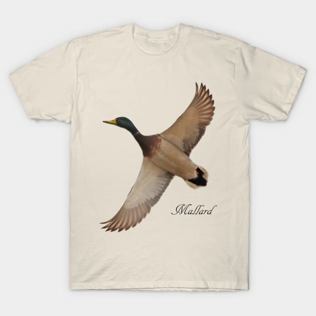 Mallard T-Shirt by Whisperingpeaks